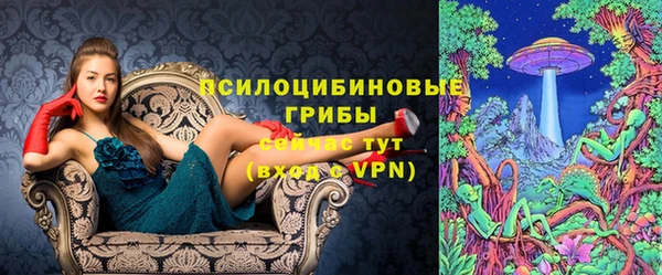 не бодяженный Абаза