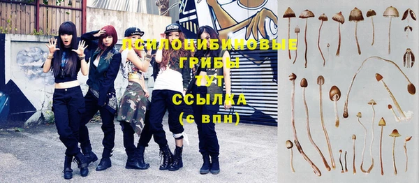 не бодяженный Нефтегорск