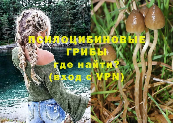 гидропоника Алексеевка