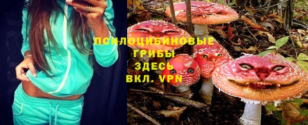 не бодяженный Абаза