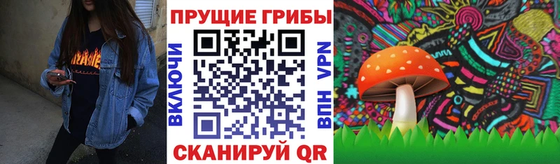 Галлюциногенные грибы мицелий  Чухлома 